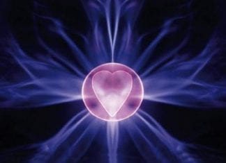 Le Créateur – Les degrés de l’amour